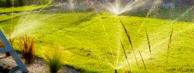  Nawodnienie trawnika 